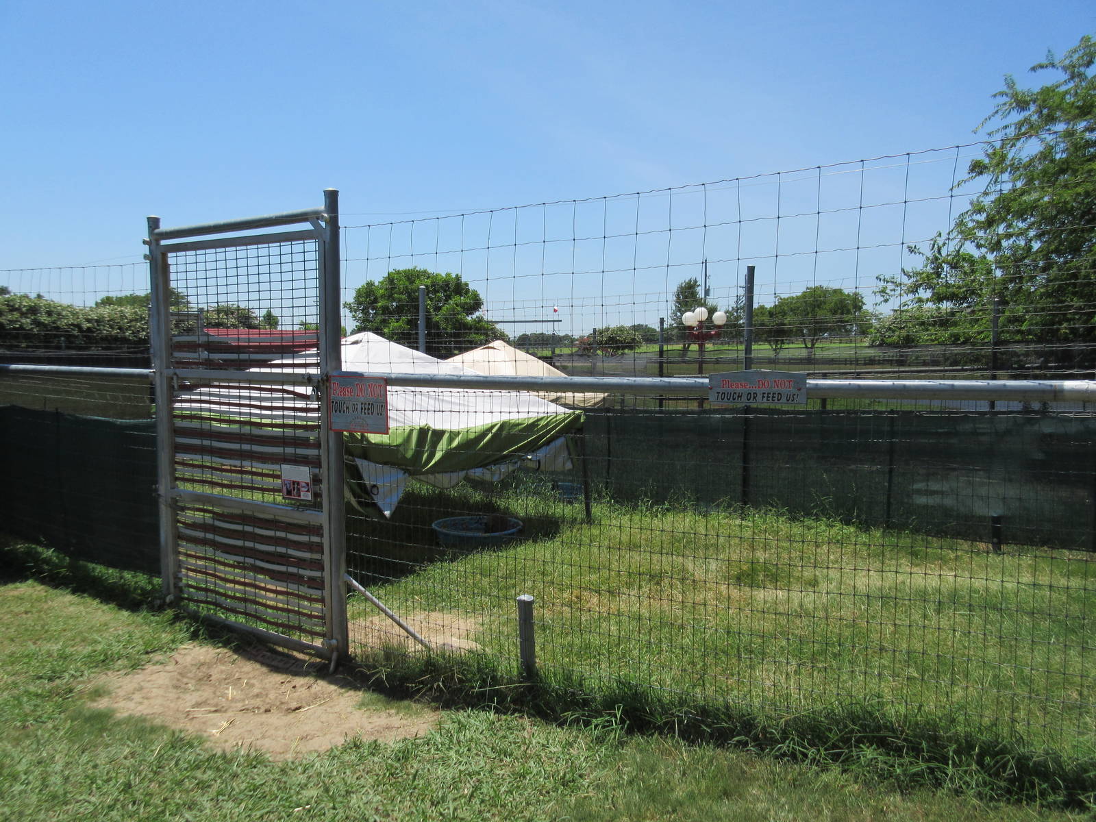 Joey Junction - baby marsupials