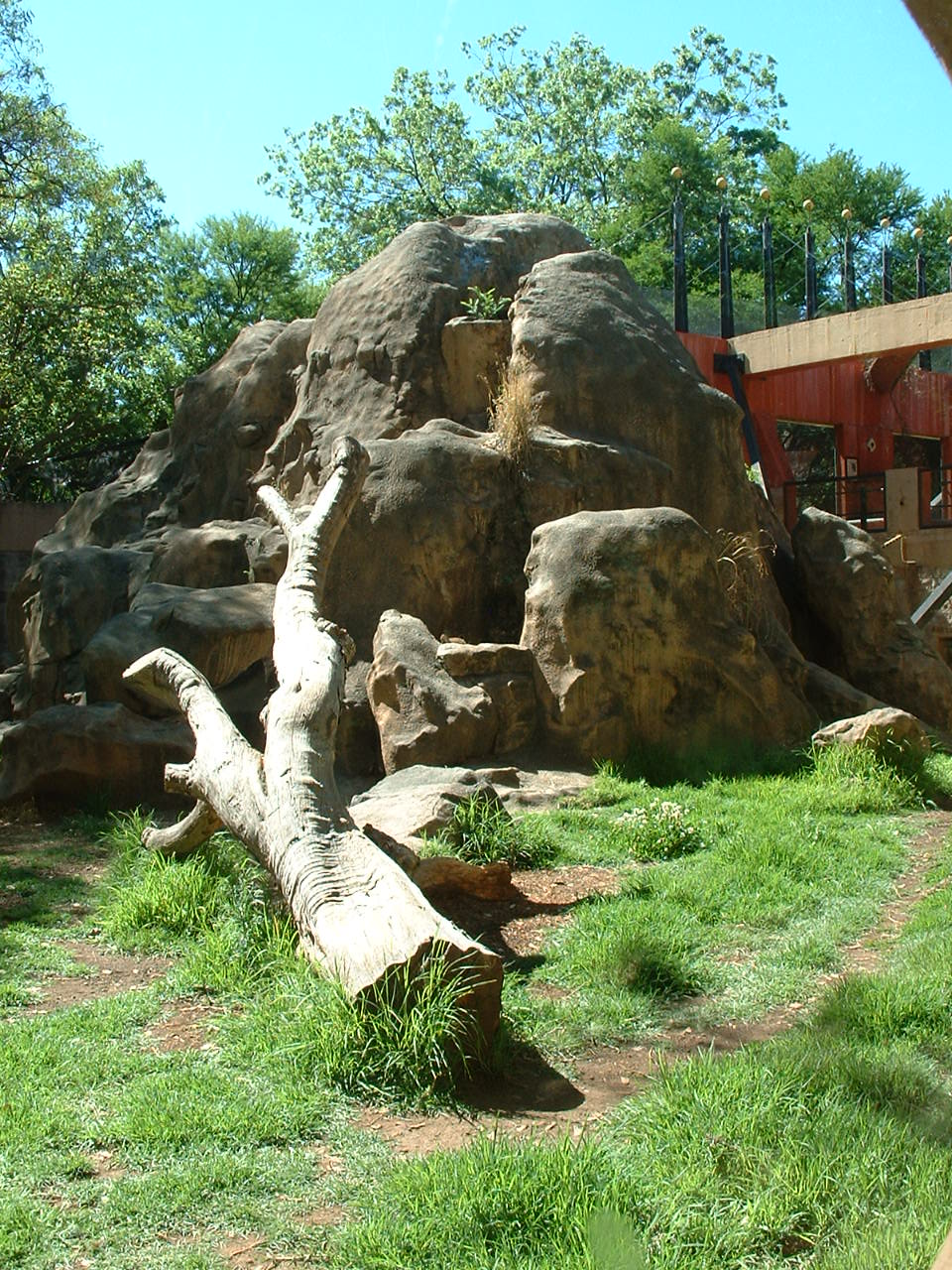 Johannesburg Zoo - Oct 2011