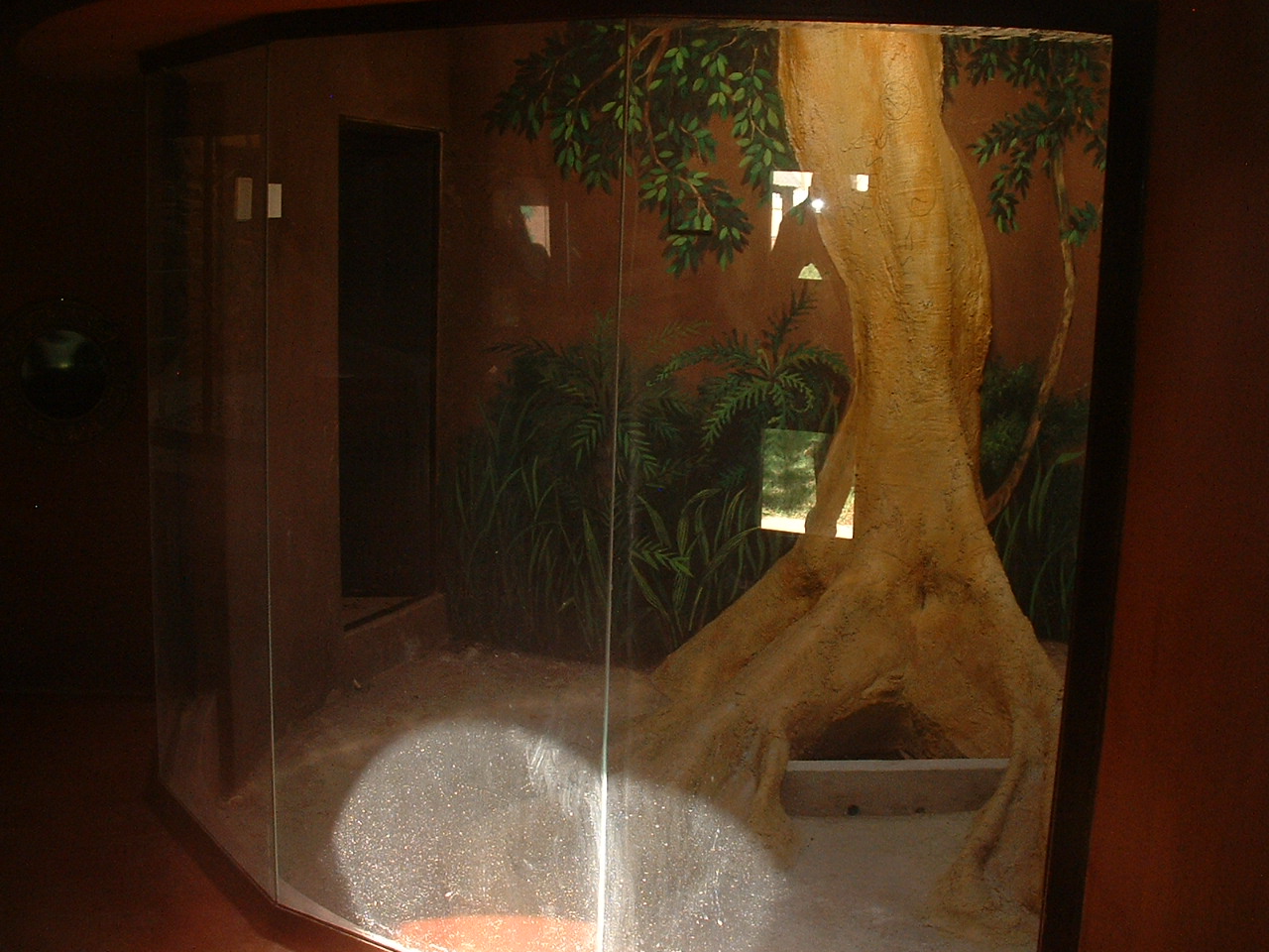 Johannesburg Zoo - Oct 2011