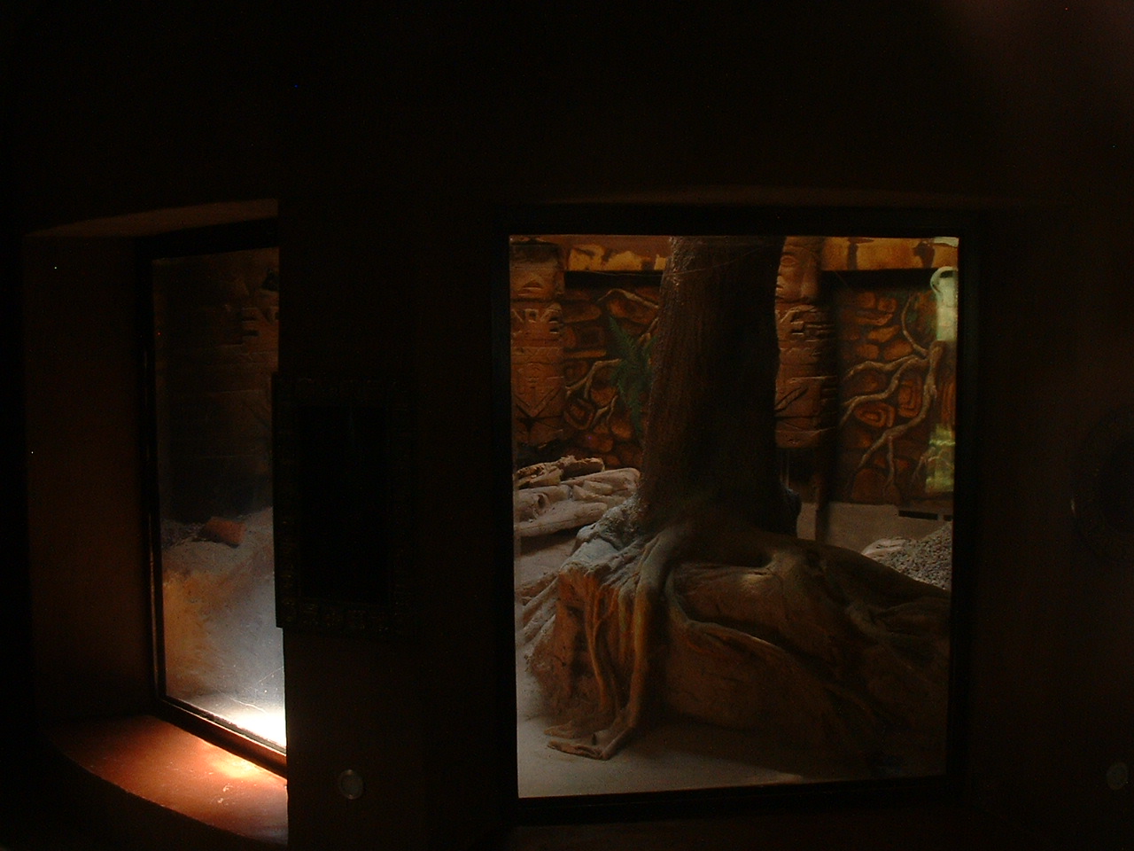 Johannesburg Zoo - Oct 2011