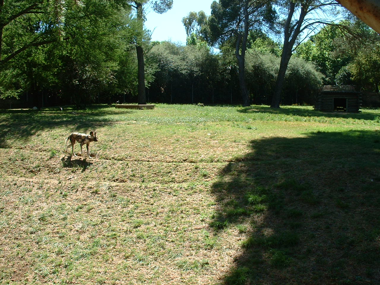 Johannesburg Zoo - Oct 2011
