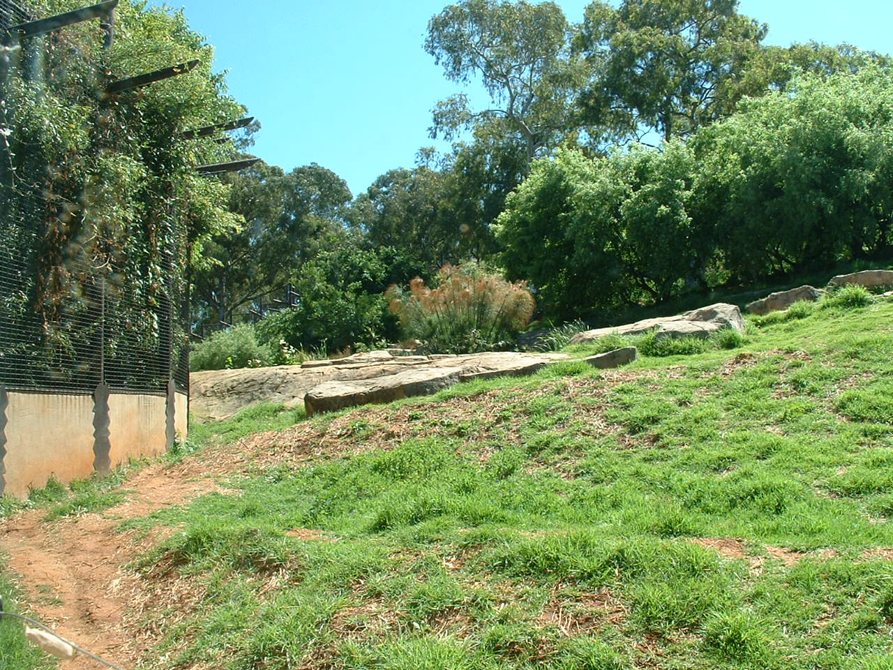 Johannesburg Zoo - Oct 2011