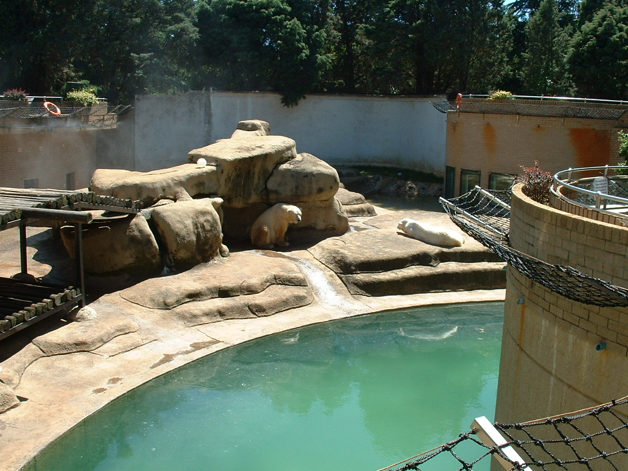 Johannesburg Zoo - Oct 2011