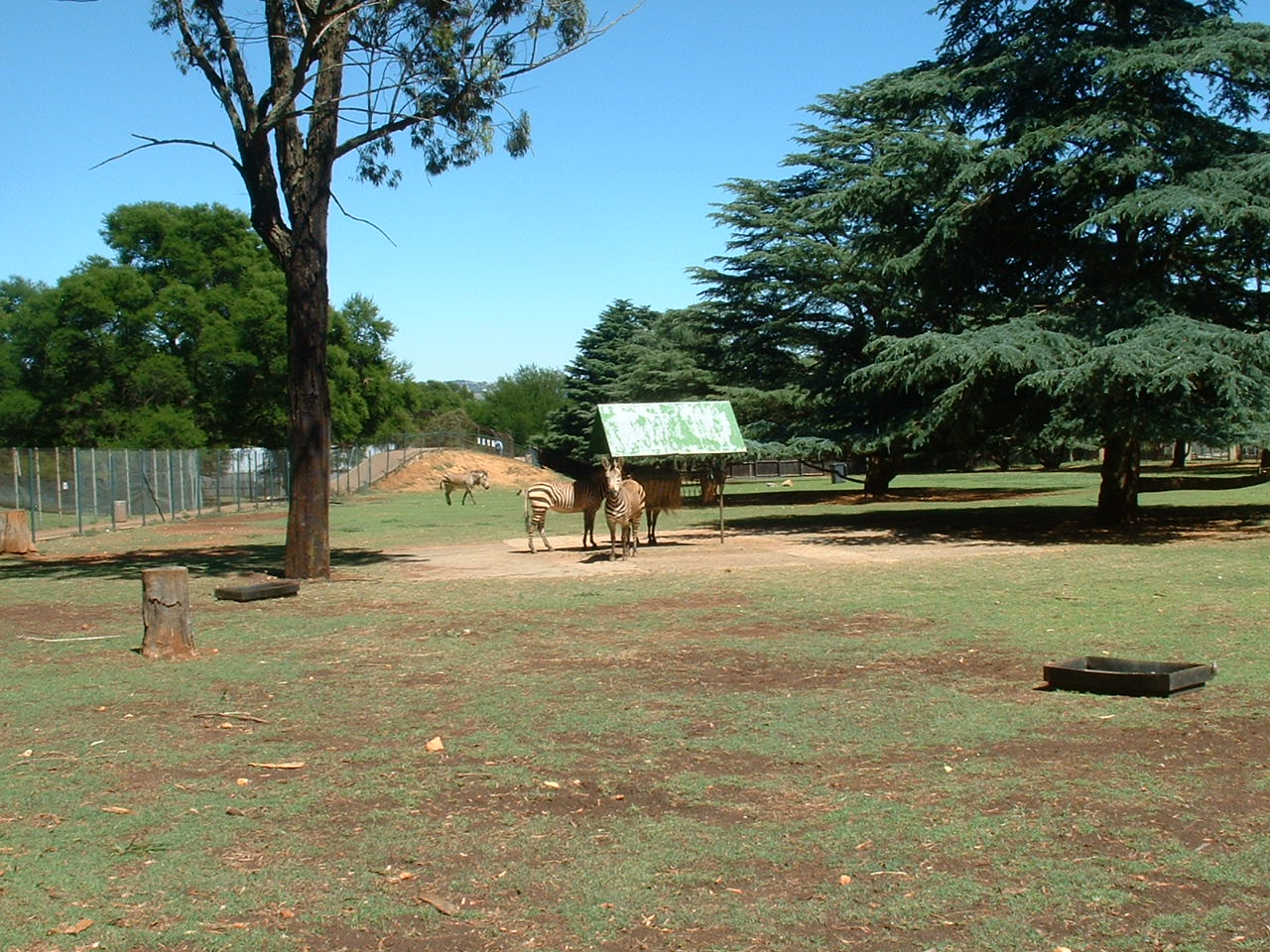 Johannesburg Zoo - Oct 2011