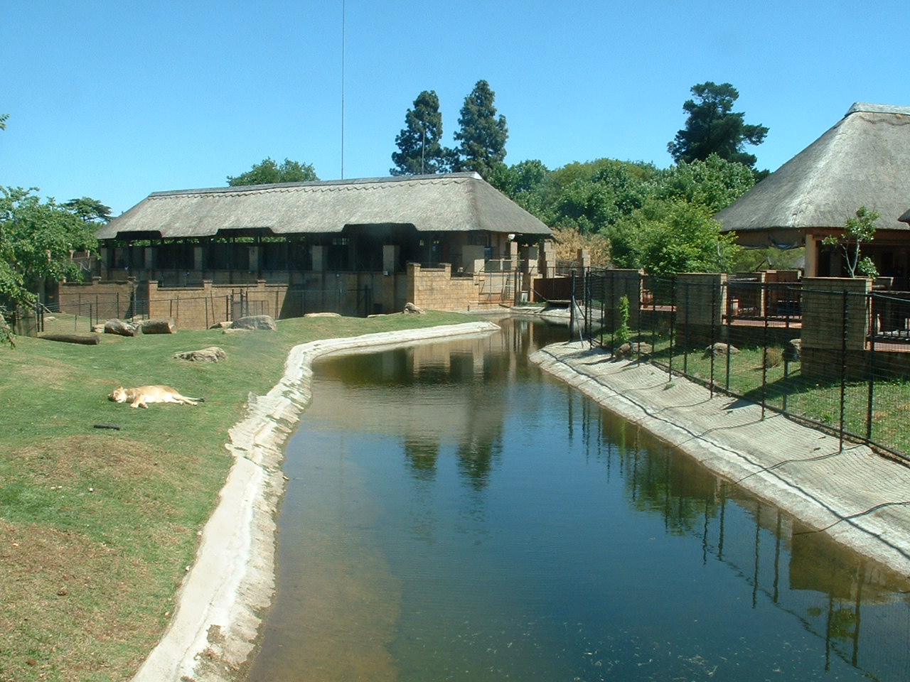 Johannesburg Zoo - Oct 2011