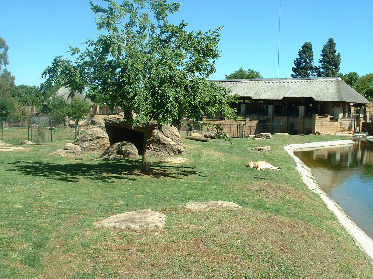 Johannesburg Zoo - Oct 2011