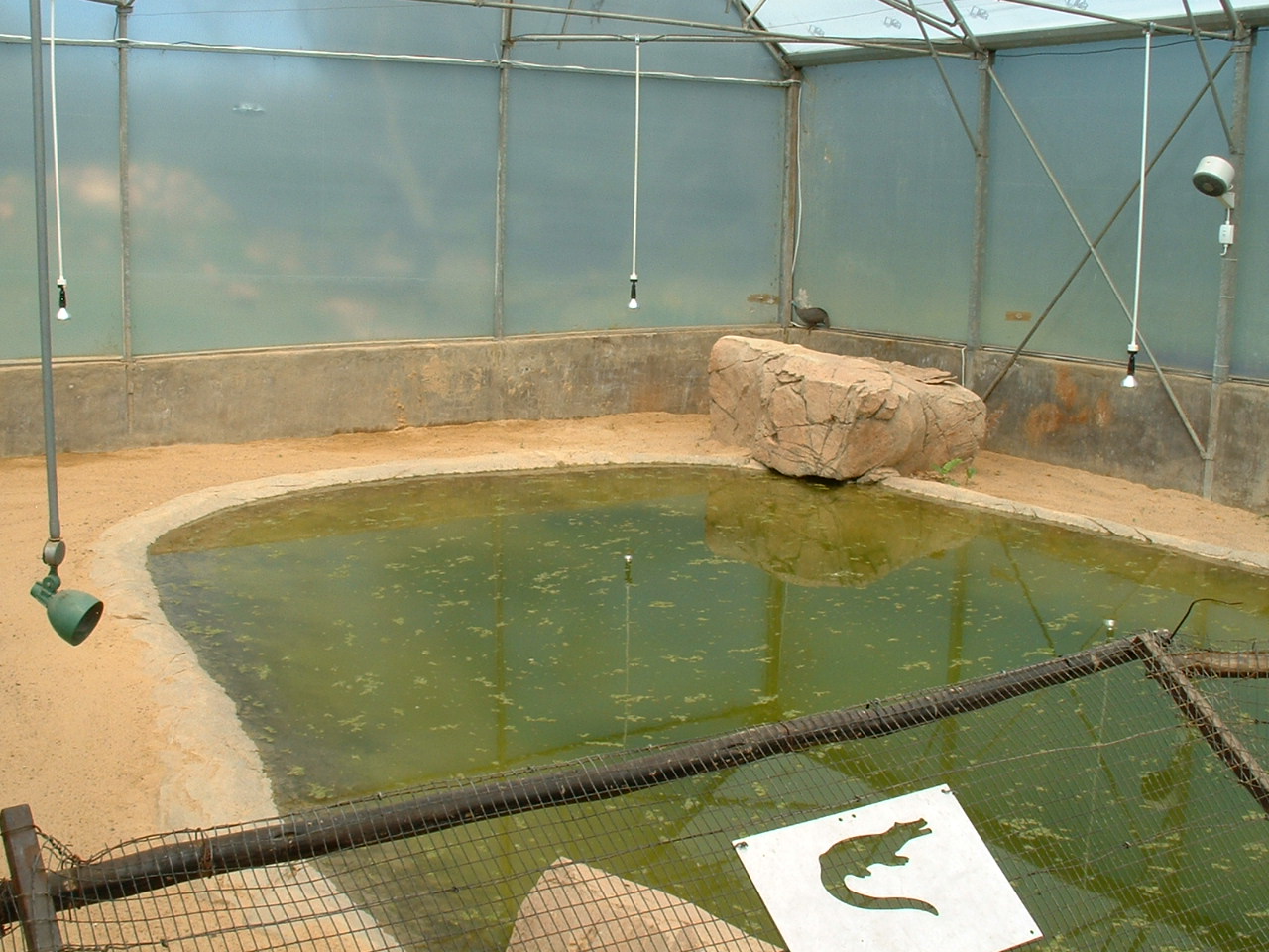 Johannesburg Zoo - Oct 2011