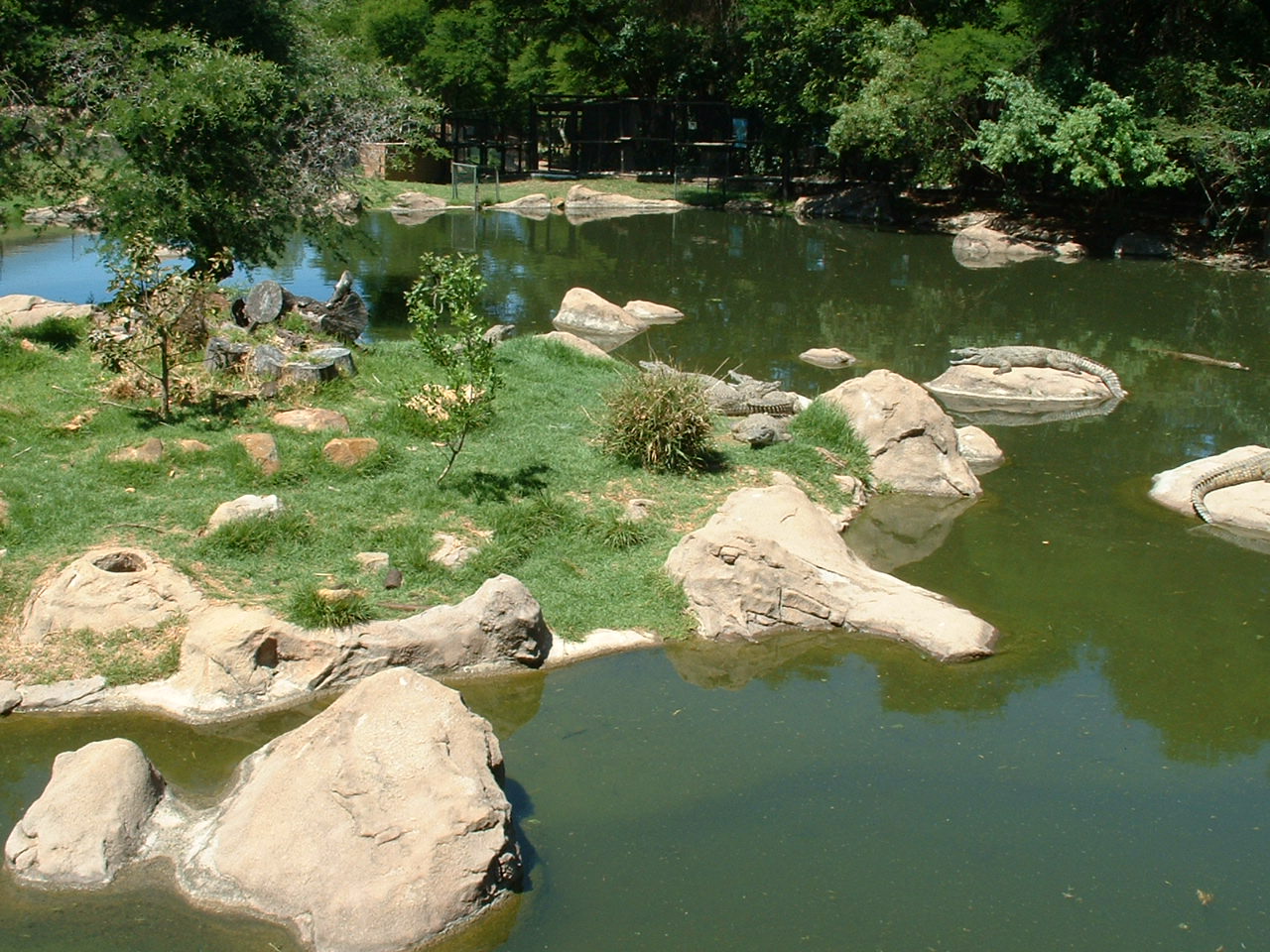 Johannesburg Zoo - Oct 2011