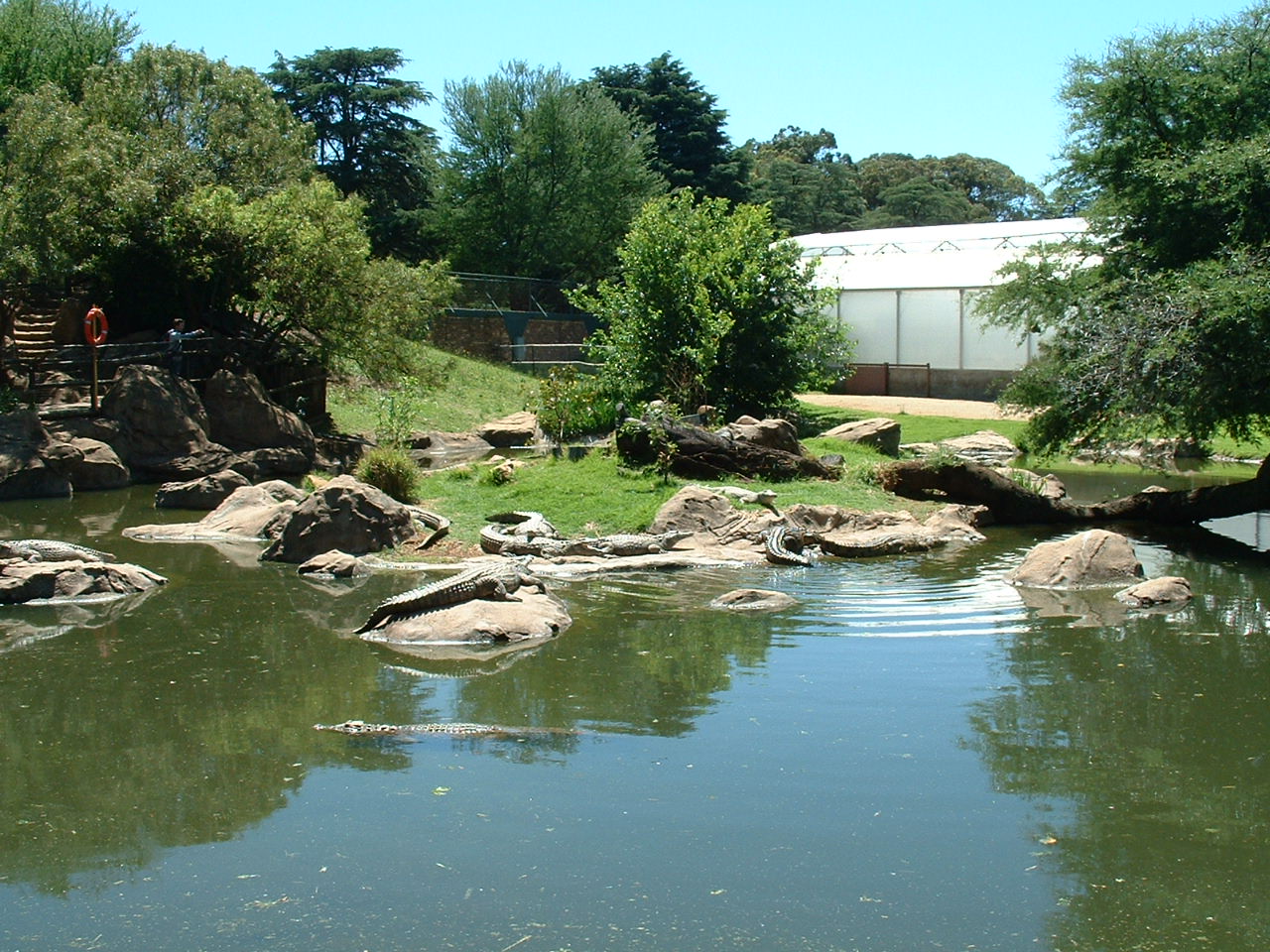 Johannesburg Zoo - Oct 2011