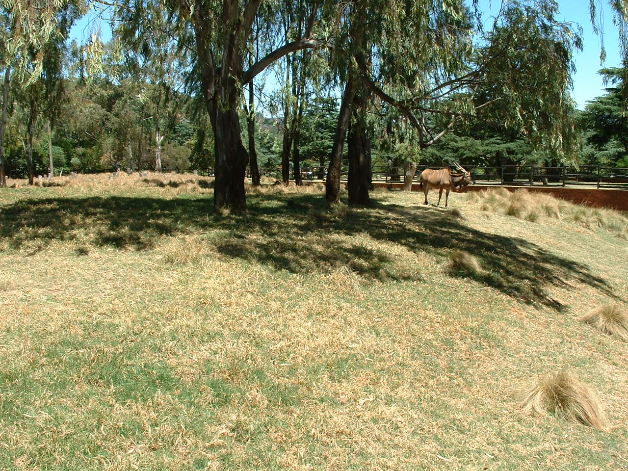 Johannesburg Zoo - Oct 2011