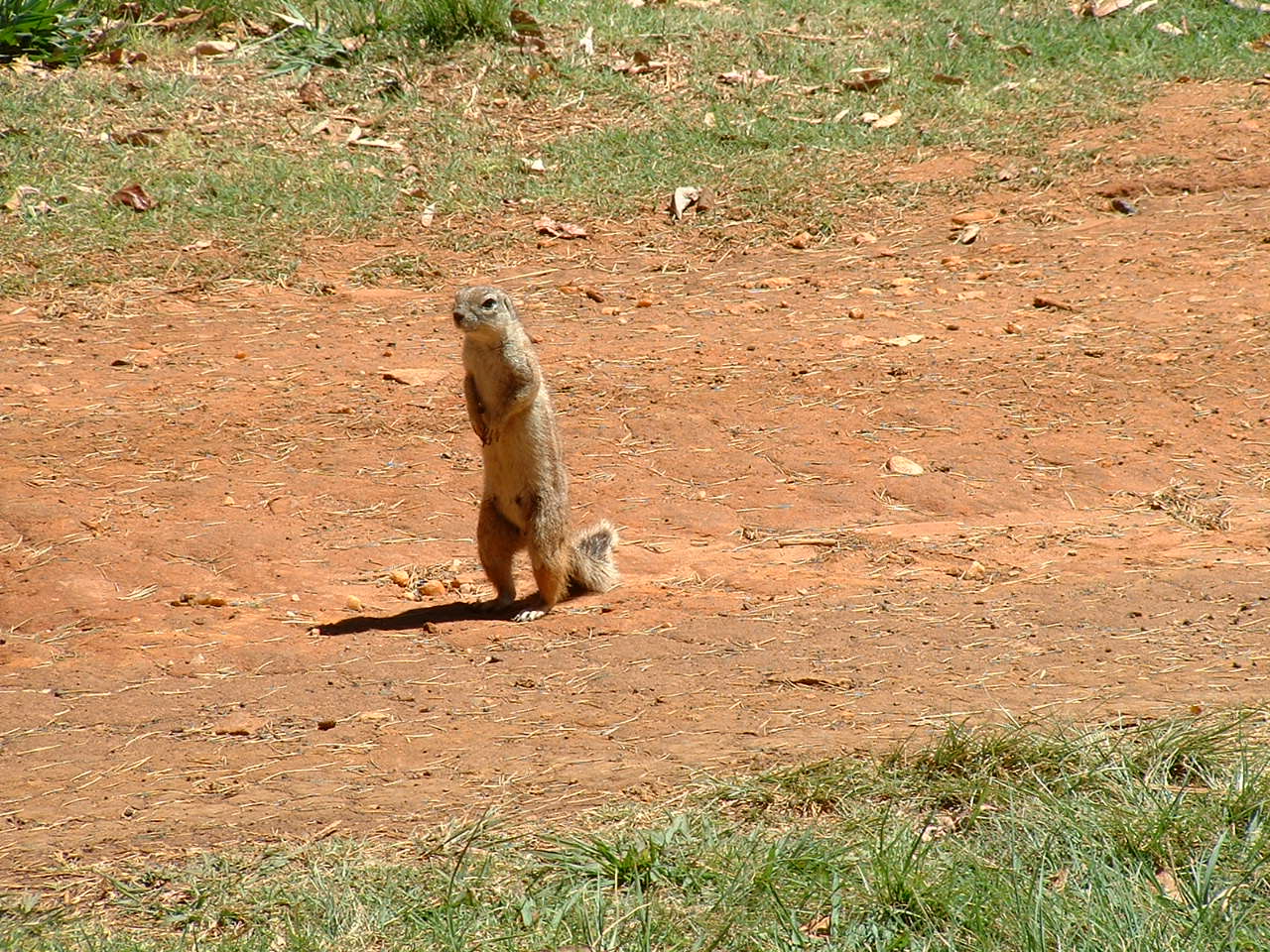 Johannesburg Zoo - Oct 2011