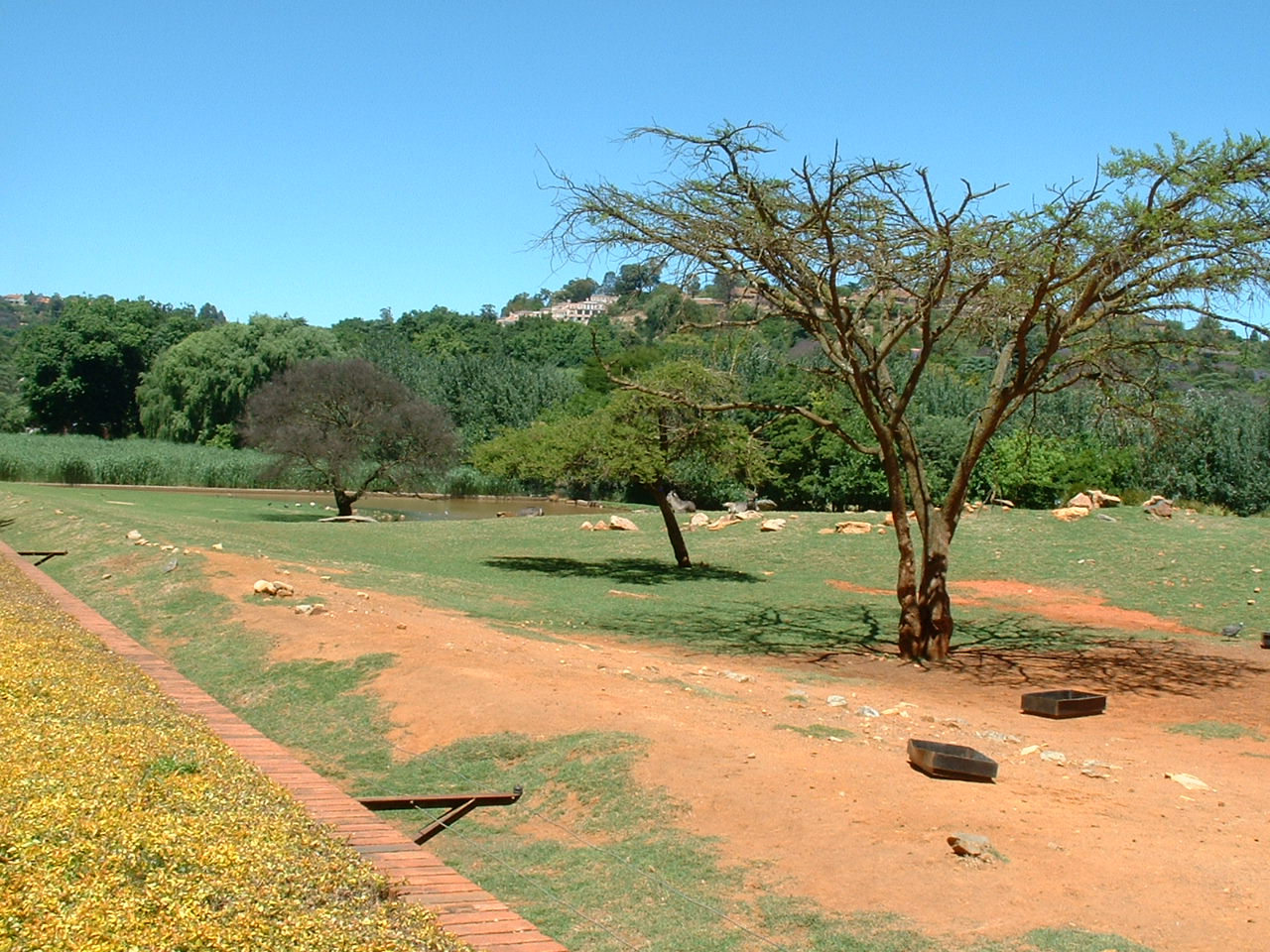 Johannesburg Zoo - Oct 2011