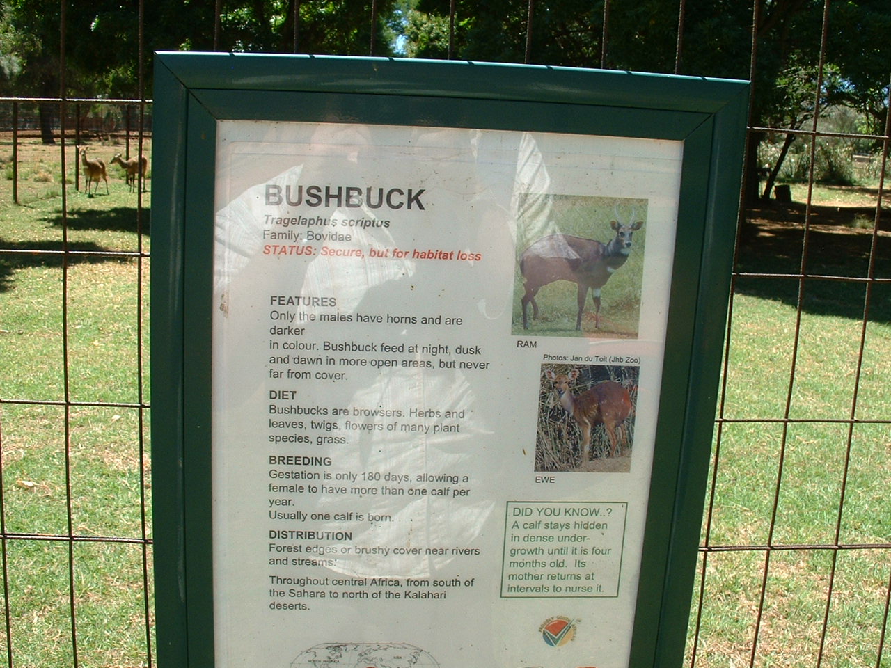 Johannesburg Zoo - Oct 2011