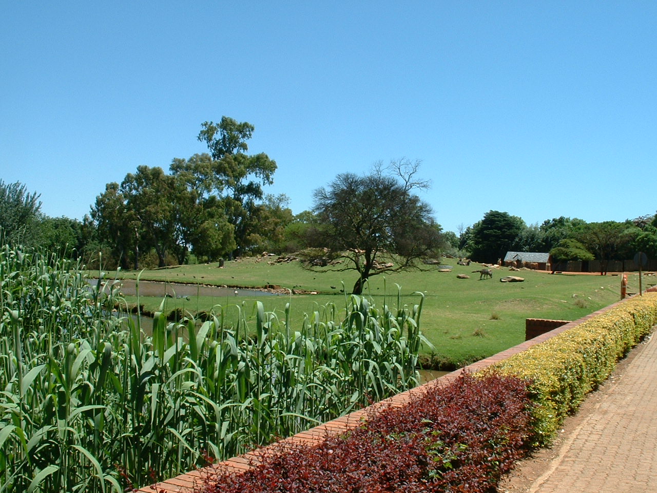 Johannesburg Zoo - Oct 2011