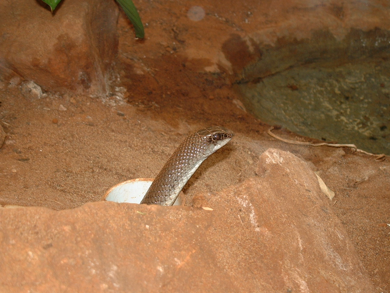 Johannesburg Zoo - Oct 2011