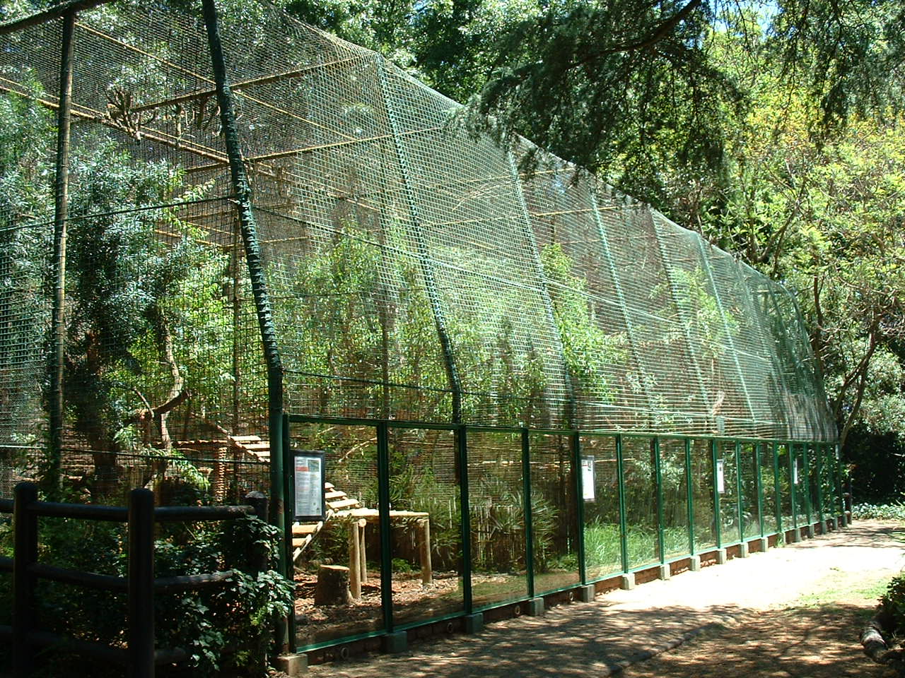 Johannesburg Zoo - Oct 2011