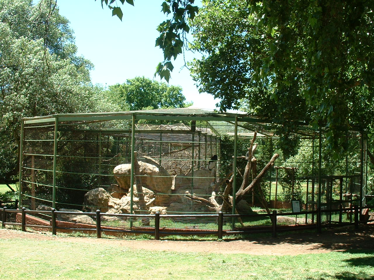 Johannesburg Zoo - Oct 2011