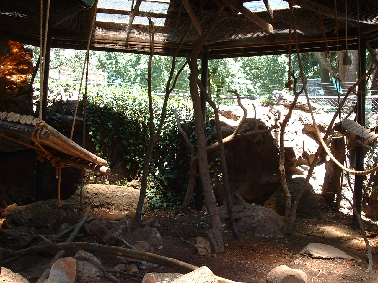 Johannesburg Zoo - Oct 2011