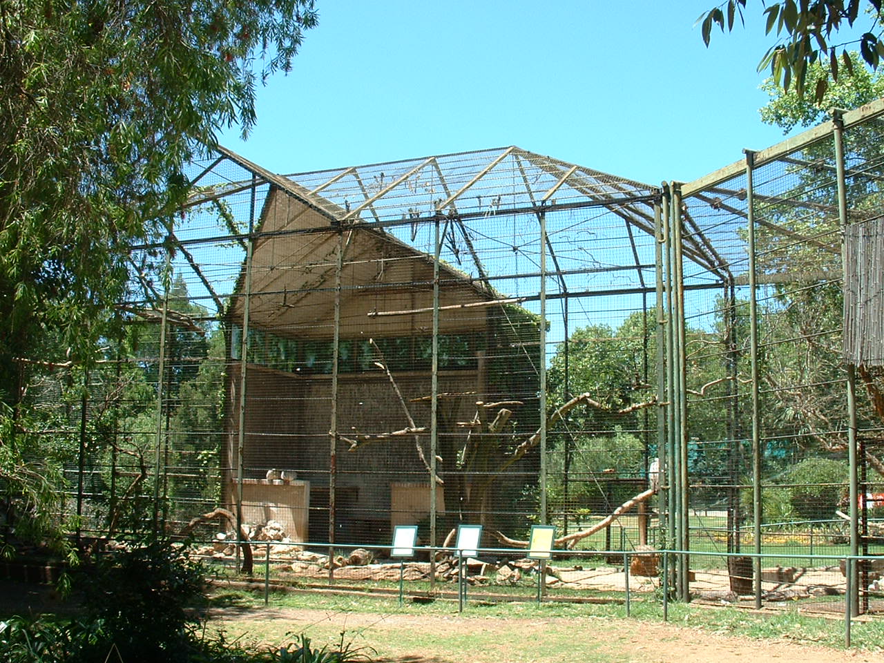 Johannesburg Zoo - Oct 2011