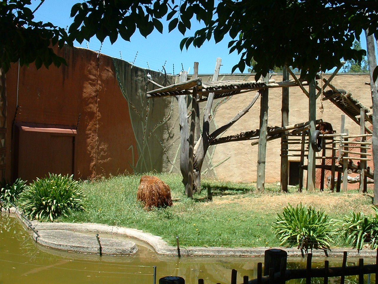 Johannesburg Zoo - Oct 2011