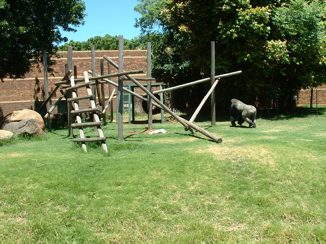 Johannesburg Zoo - Oct 2011