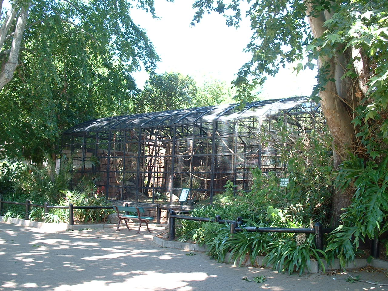 Johannesburg Zoo - Oct 2011