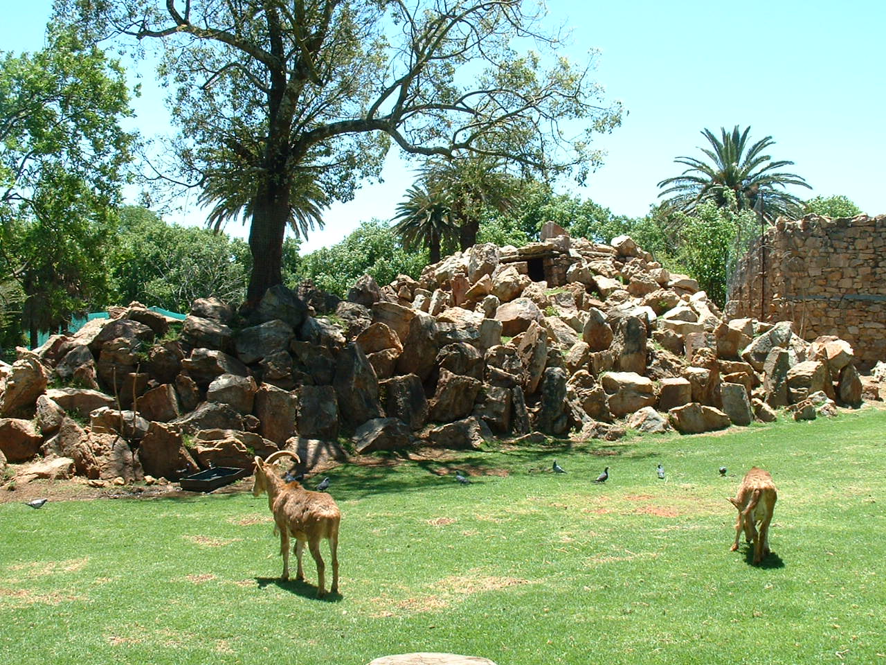 Johannesburg Zoo - Oct 2011