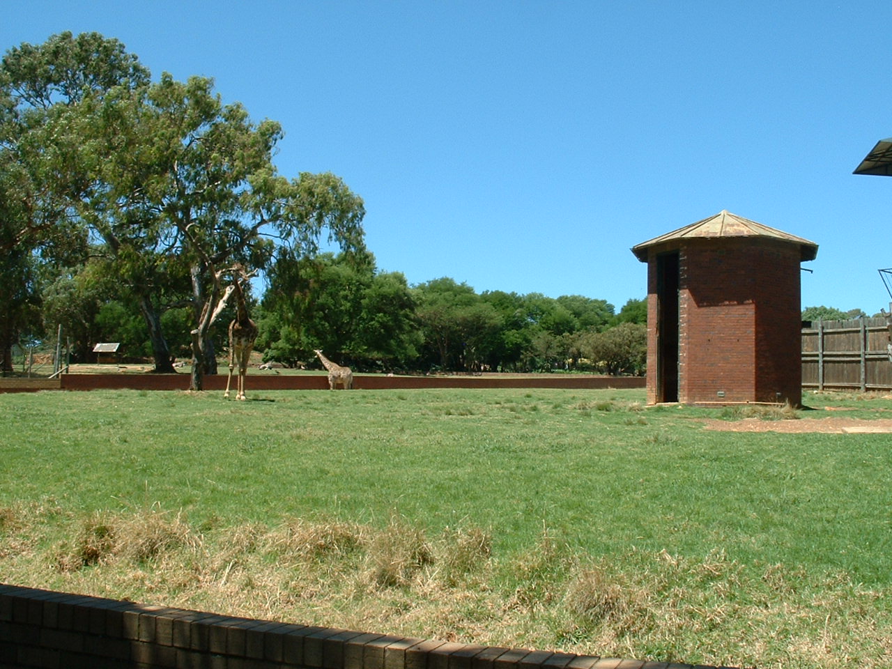 Johannesburg Zoo - Oct 2011