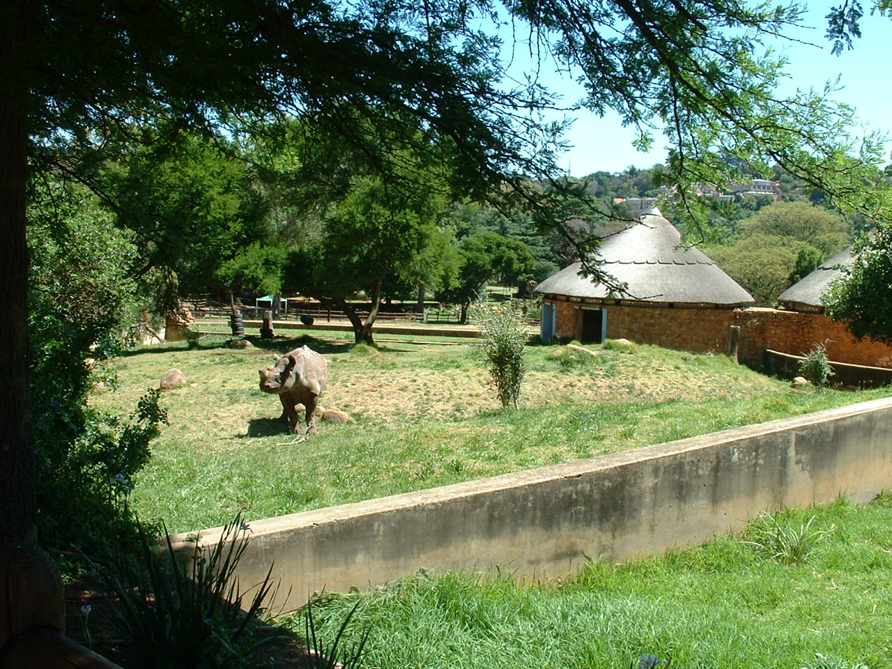 Johannesburg Zoo - Oct 2011