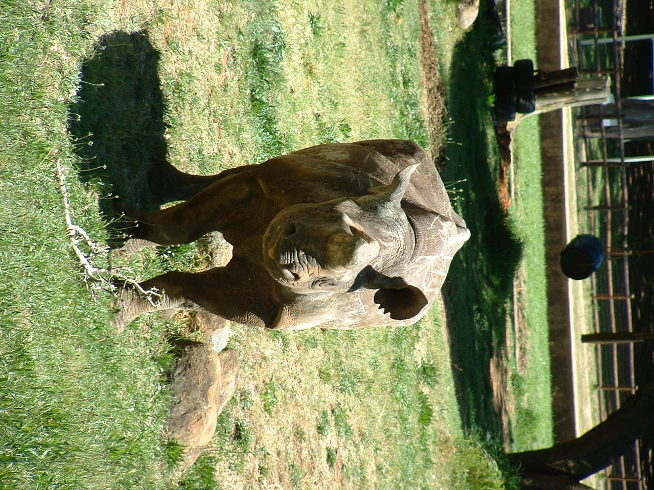 Johannesburg Zoo - Oct 2011