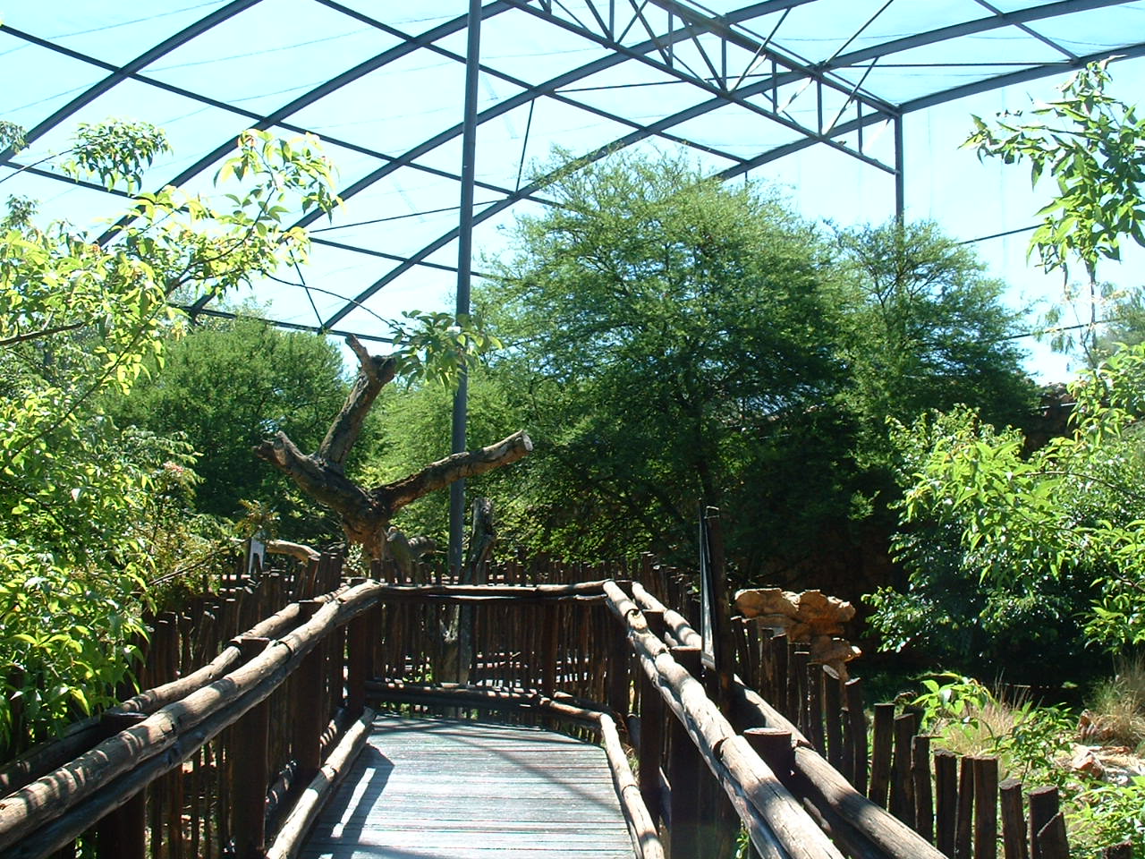 Johannesburg Zoo - Oct 2011