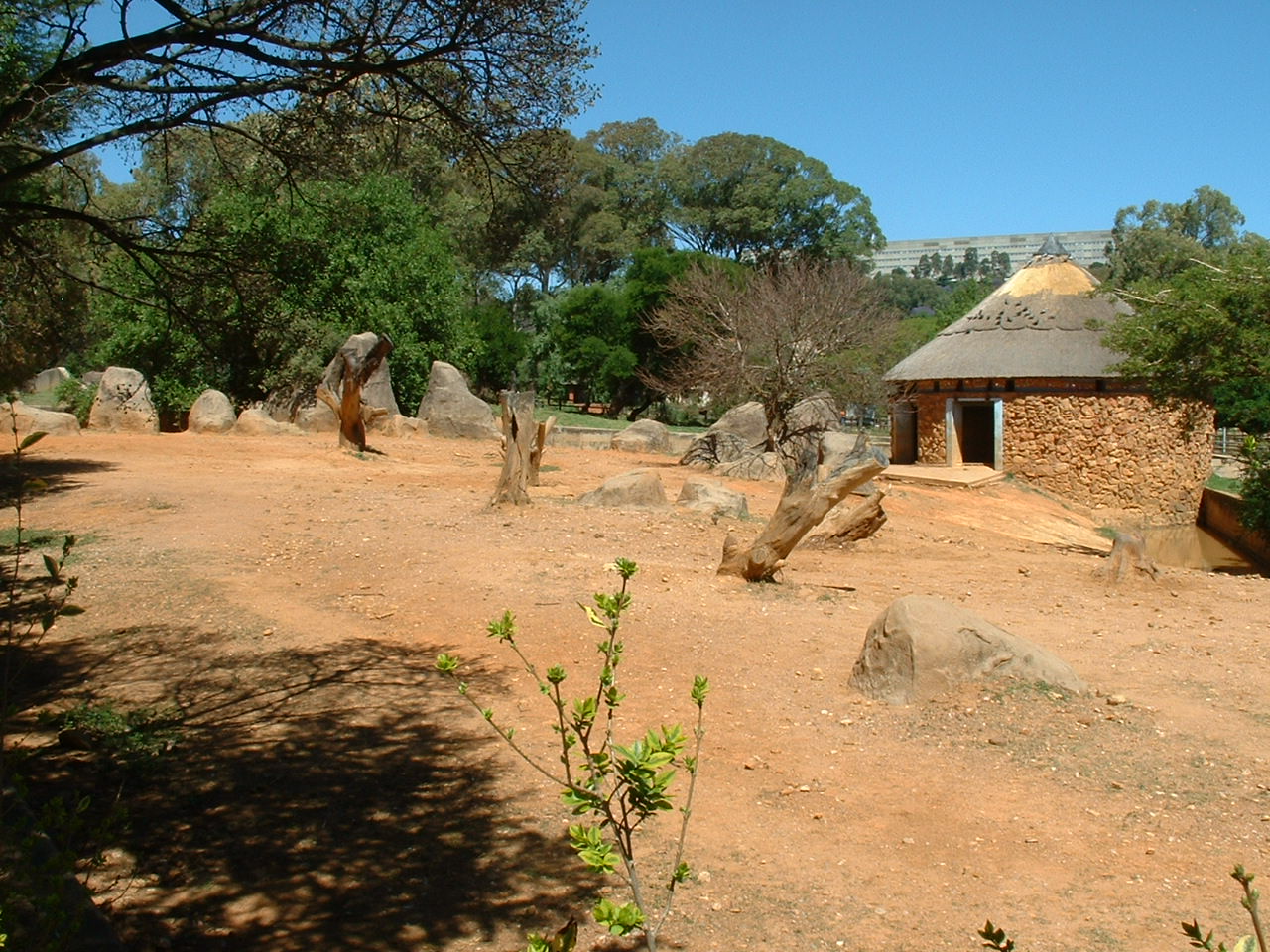 Johannesburg Zoo - Oct 2011