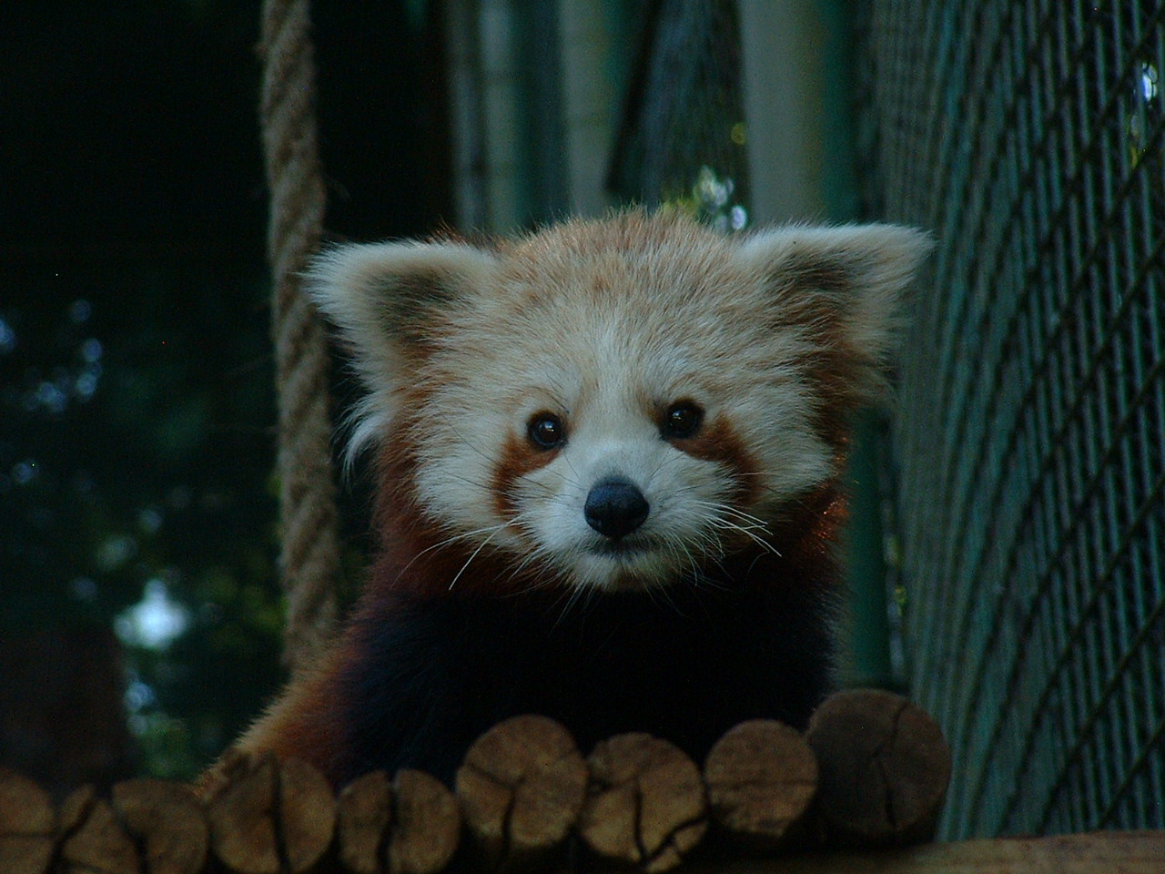 Johannesburg Zoo - Oct 2011