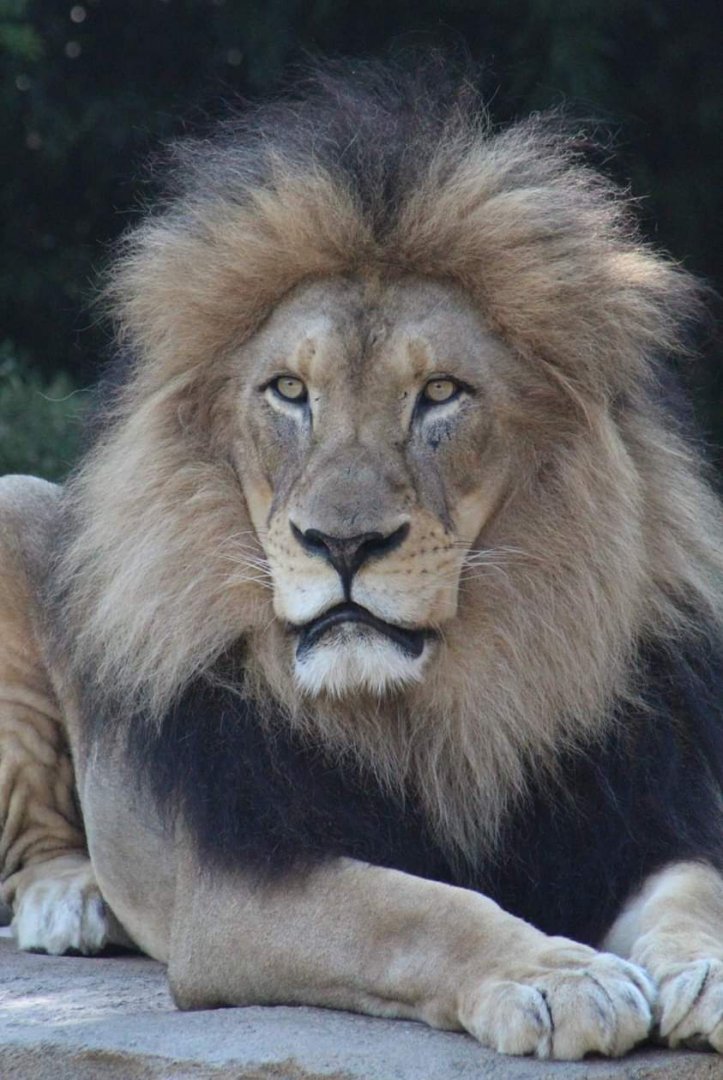 John king of Cincinnati zoo