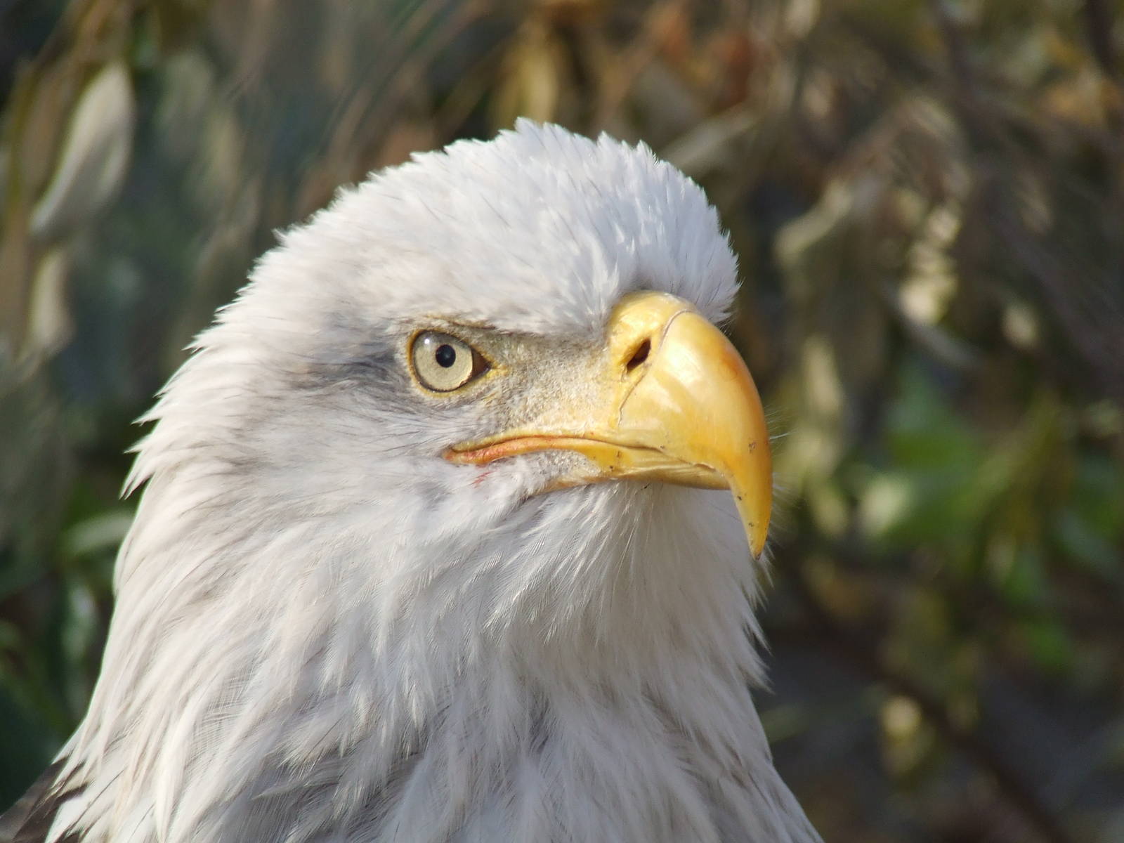 Johnny @ Budapest Zoo