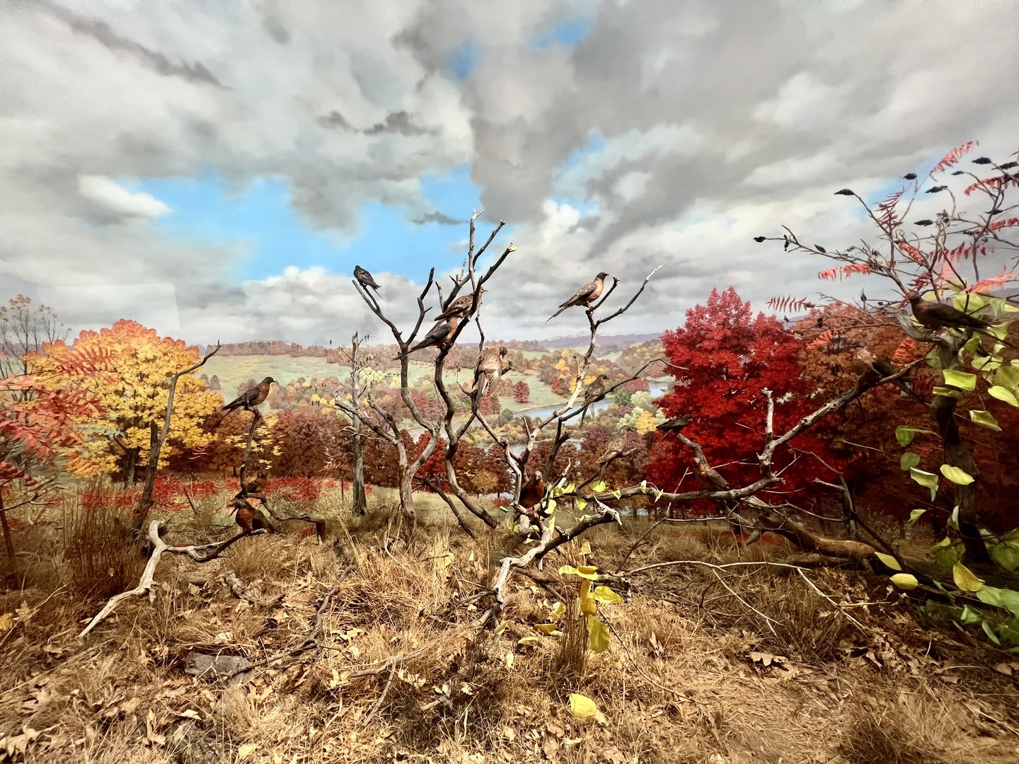 Johnson County Iowa Diorama