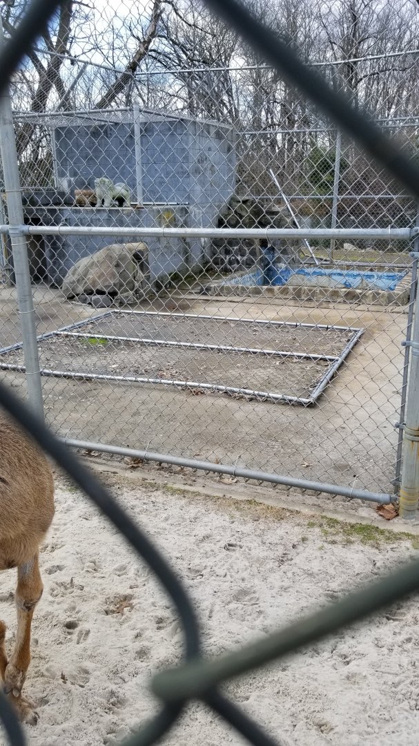 Johnson Park Jan 21 - Empty, formerly otters maybe?