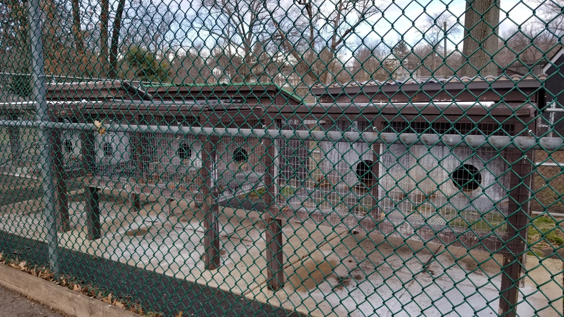 Johnson Park Jan 21 - Empty (?) hutches