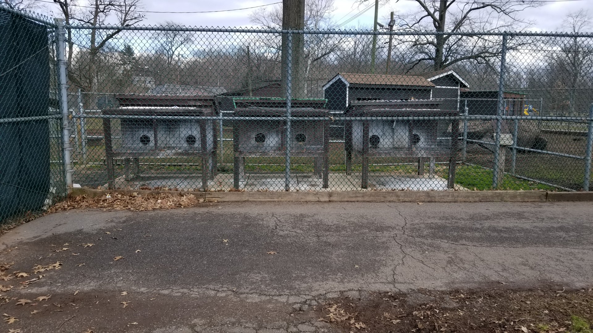 Johnson Park Jan 21 - Empty (?) hutches