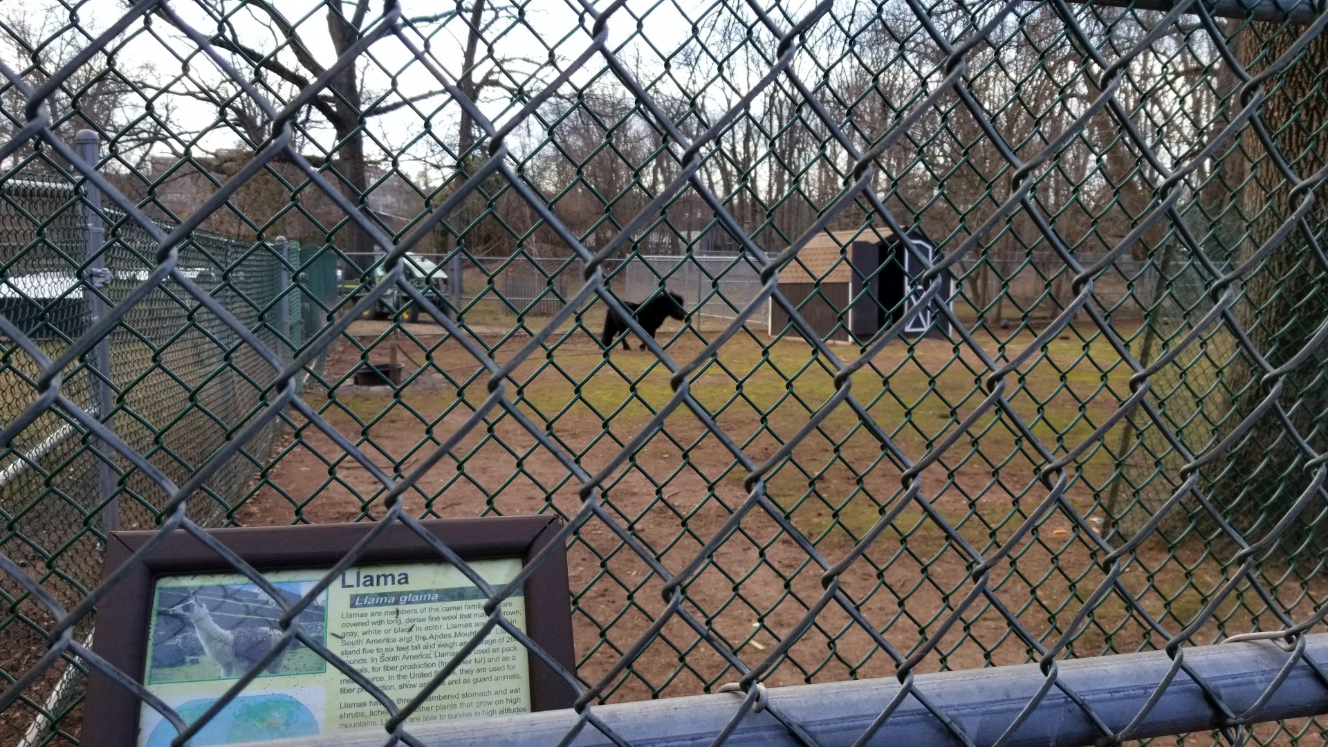 Johnson Park Jan 21 - Pony