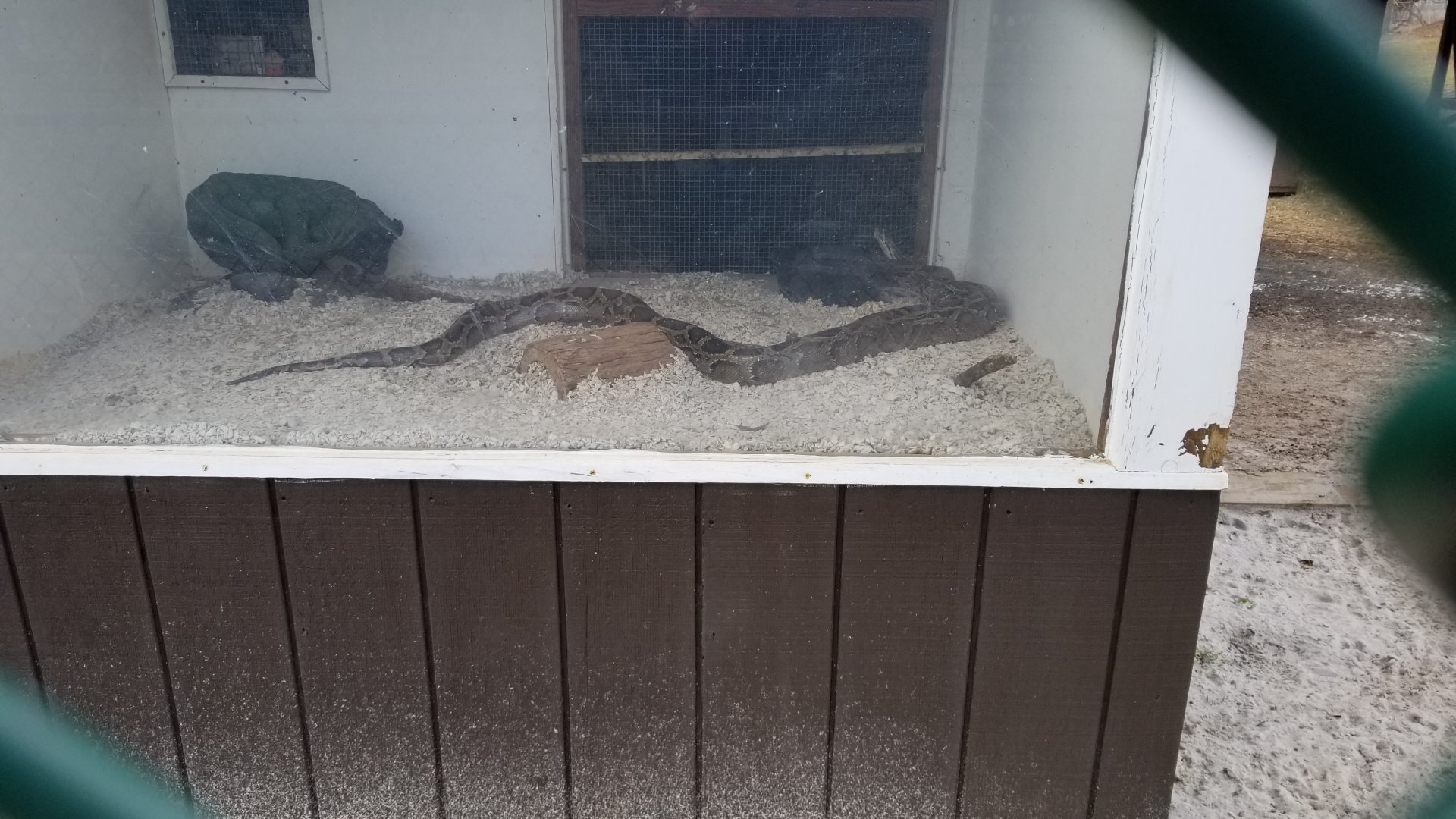 Johnson Park Jan 21 - Unsigned snake