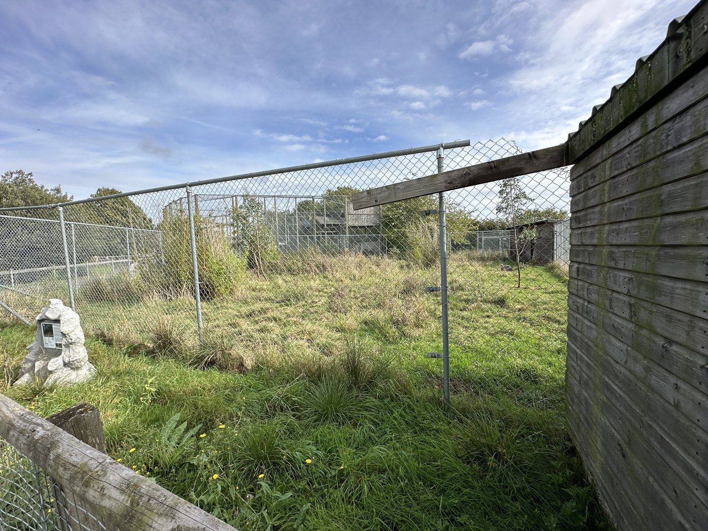 Johnson's Cassowary Enclosure at Hamerton Zoo Park (October 2023)
