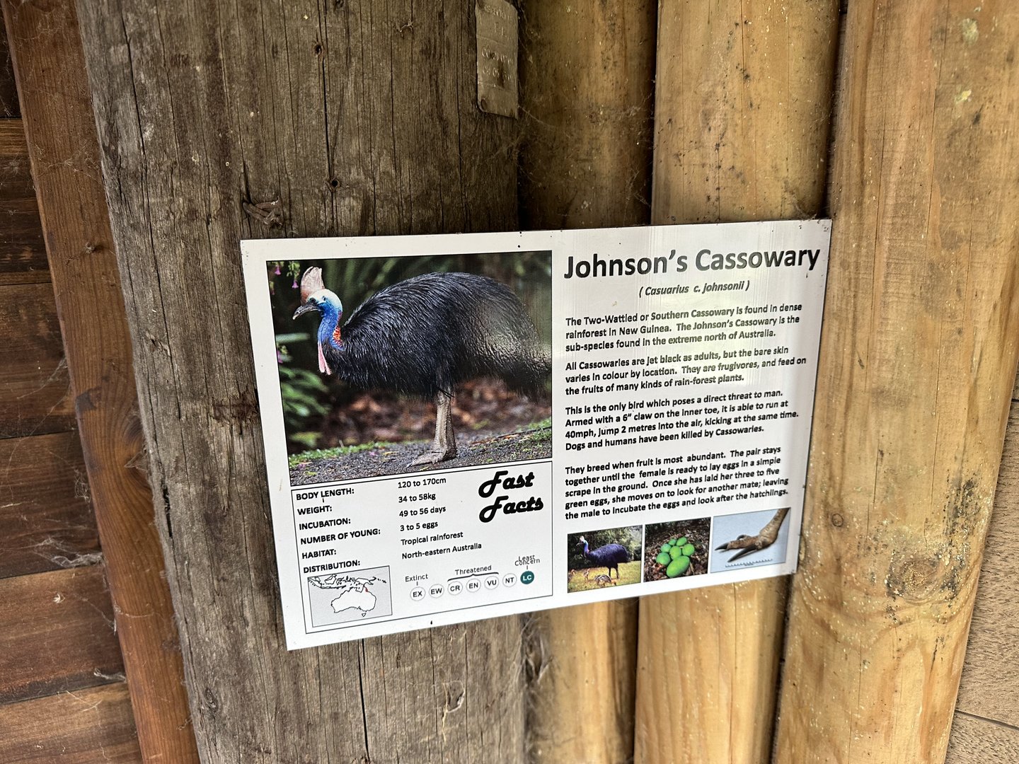 Johnson's Cassowary Signage at Hamerton Zoo Park (October 2023)