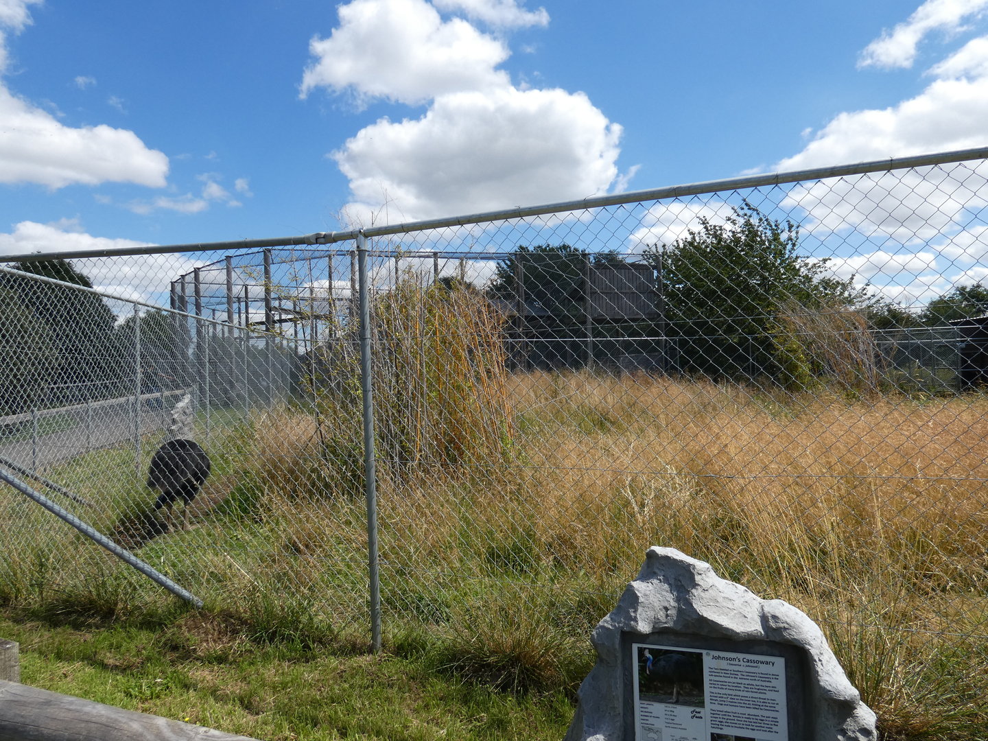 Johnstone's cassowary enclosure