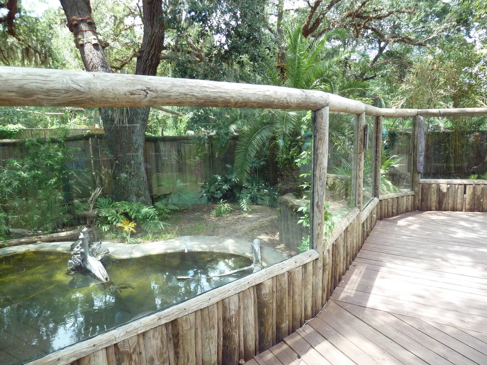 Johnston's Crocodile Exhibit