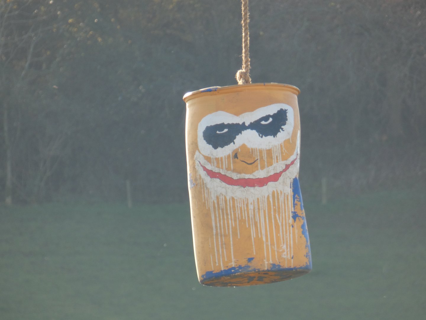 'Joker' themed Elephant enrichment