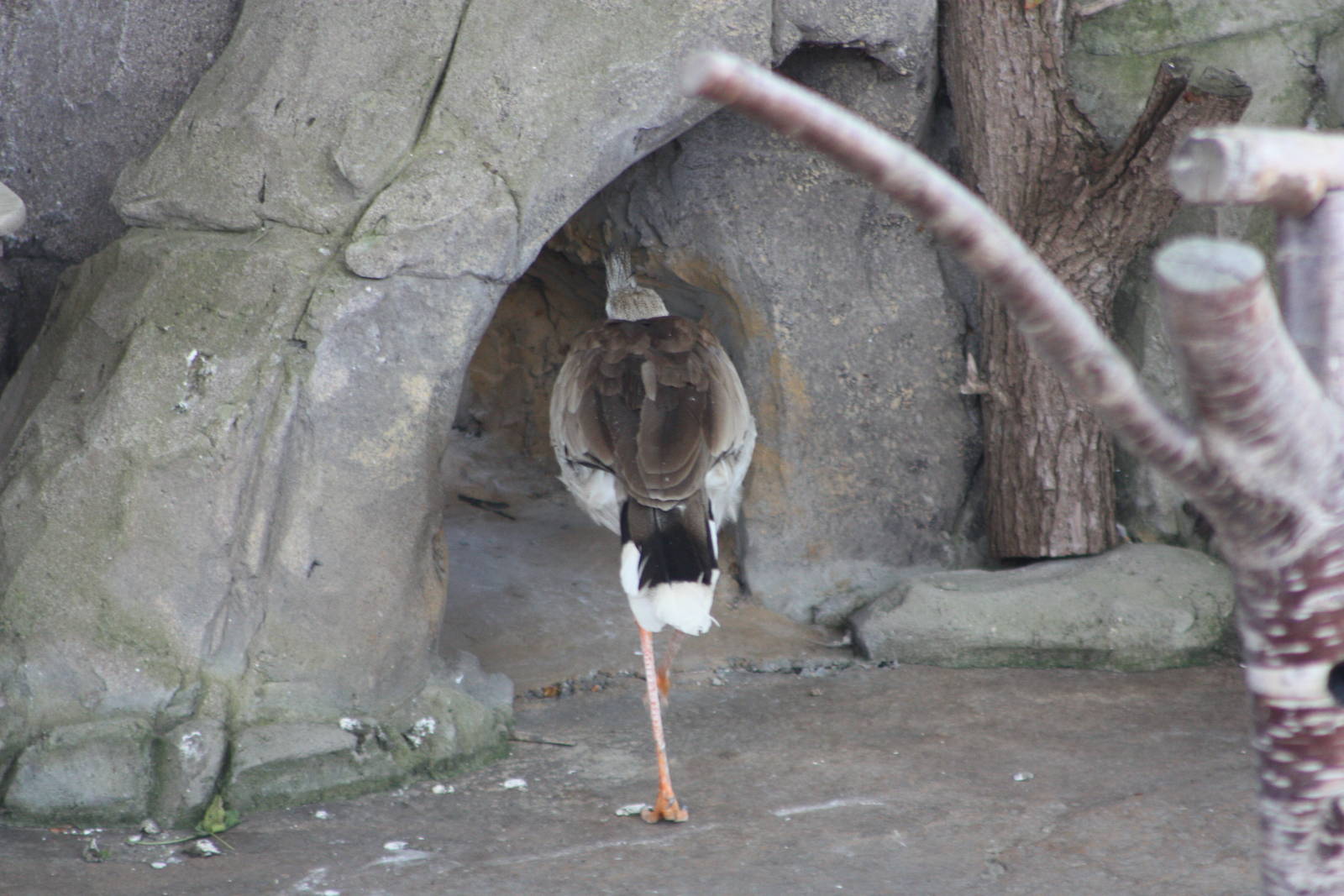 Jose exits stage left, 4th August 2014