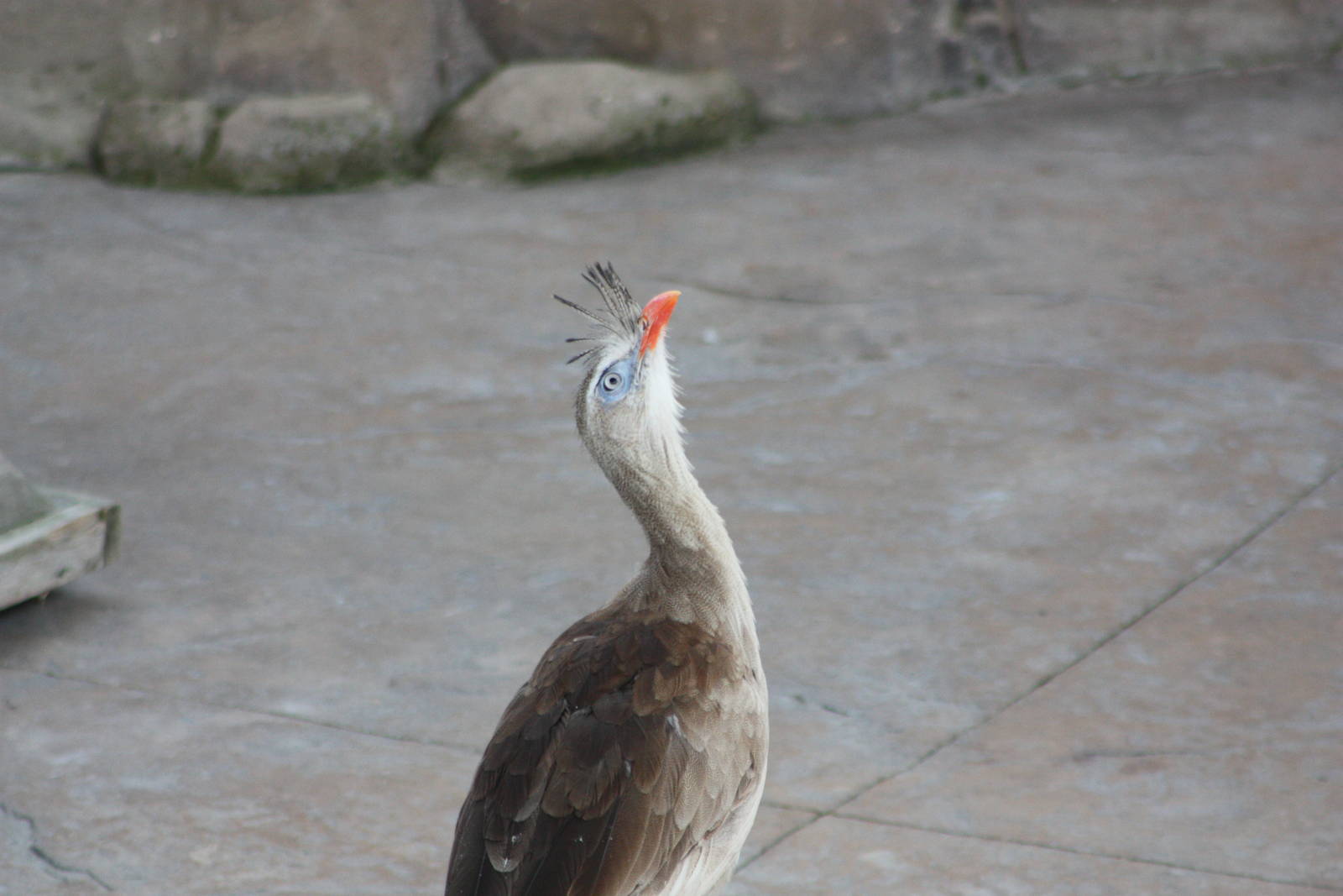 Jose ready for action, 4th August 2014