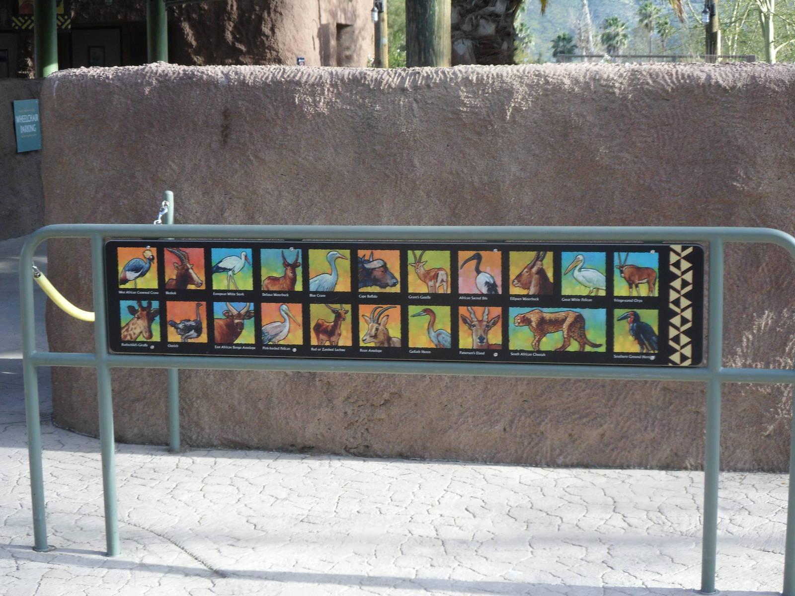 Journey Into Africa Species List #1