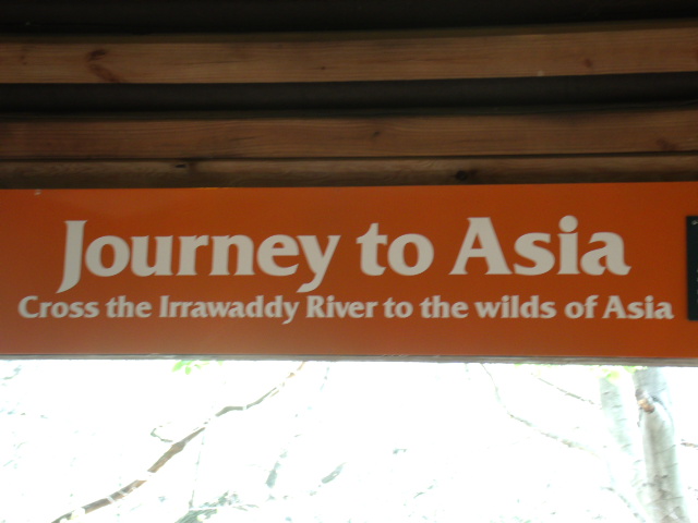 Journey to Asia